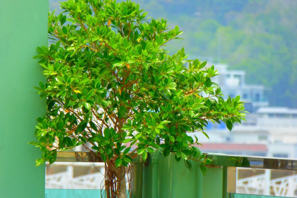 Add Plus Hotel & Spa Patong Luaran gambar